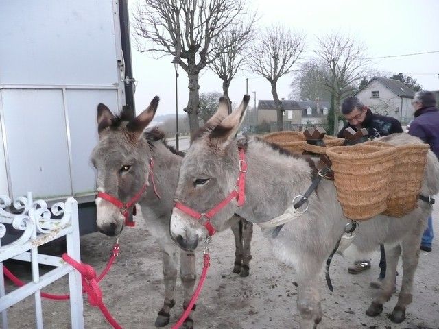 Loire propre 2013 (6).jpg